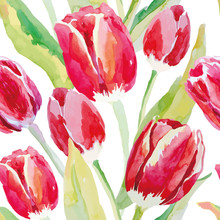 Red Tulips On The White Background. Watercolor Vector Seamless Pattern With Spring Flowers.