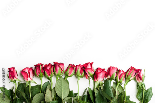 Naklejka na meble Red roses on a white background