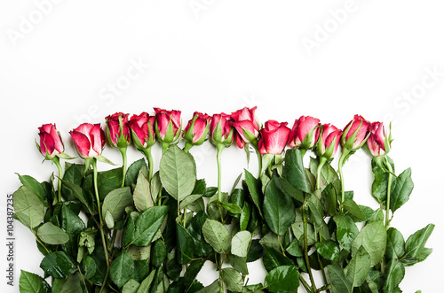 Naklejka na drzwi Red roses on a white background