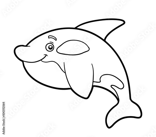 Coloring Book Coloring Page Killer Whale Buy This Stock