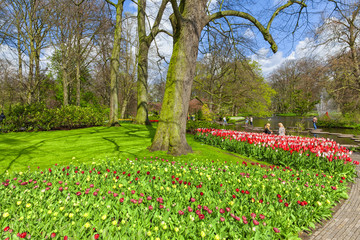 Fototapete - Scenic of Keukenhof Tulips Garden, Lisse, Netherlands.