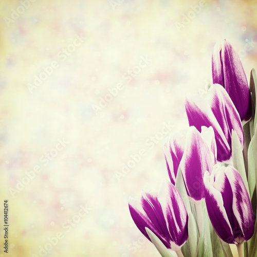 tulipany-na-tle-vintage