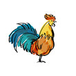 colorfull rooster vector illustration