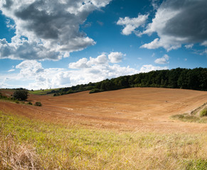 Canvas Print - Autumn landscape. Sunny day