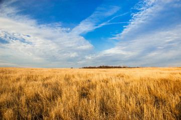 Blue sky, yellow plain.