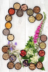 Canvas Print - Naturopathic Medicine