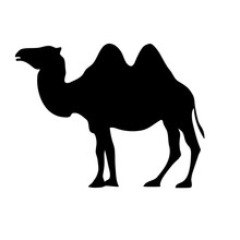 Camel Silhouette Isolated On White
