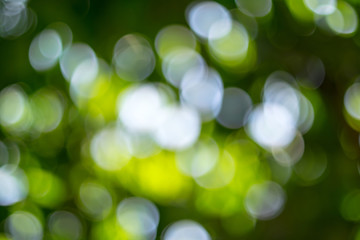 Wall Mural - bokeh background