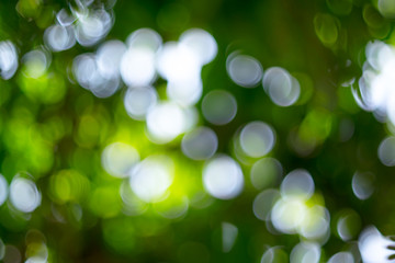 Wall Mural - bokeh background