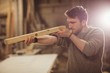 © Wavebreak Media - Happy carpenter working on his craft