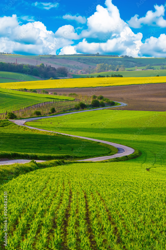 Foto-Schiebegardine Komplettsystem - Rural landscape with green fields, road and waves, South Moravia, Czech Republic
