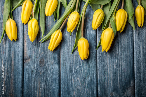 Naklejka na szybę Yellow tulips flowers on blue grunge wood.