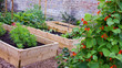 Rustic Country Vegetable & Flower Garden with Raised Beds