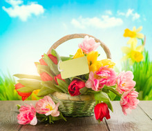 Basket Of Spring Colorful Tulips With Greeting Card