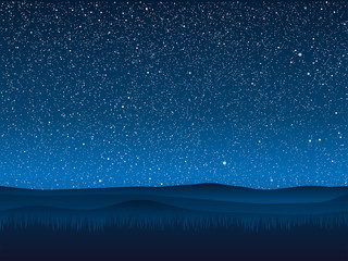 Wall Mural - vector. silhouette grass. starry sky. eps 10.