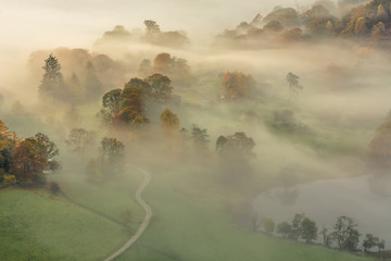 Wall Mural - morning misty fog lingering over trees at loughrigg tarn on an autumn fresh morning.