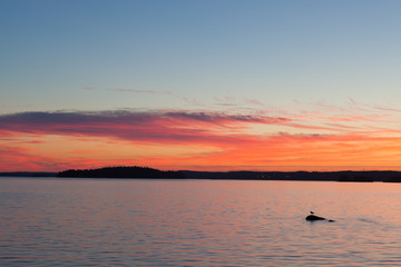 Wall Mural - Calm sunset and clouds over lake