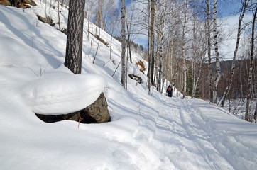 Ski path in snowy winter forest