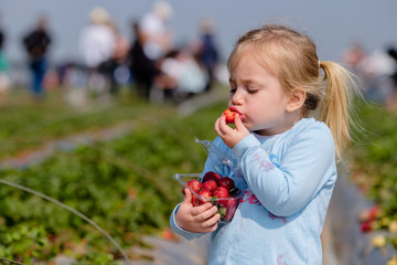 A cute girl eating strawberry in lust