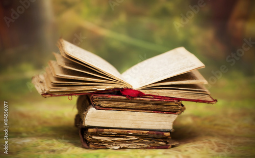 Old, magic, fairytale books Tableau sur Toile