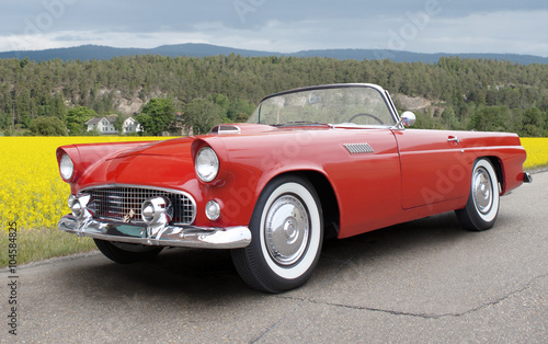 Fotomural Ford Thunderbird 1956. All logos removed.