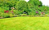 Fototapeta Kwiaty - Gartenanlage mit Rasenfläche