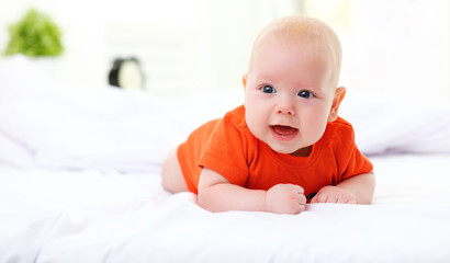 Wall Mural - happy newborn baby on bed