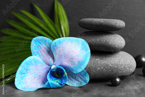 Naklejka dekoracyjna Beautiful spa composition with blue orchid and stones