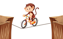 Monkey Riding Bike On The Rope
