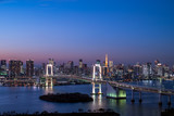 Fototapeta Miasta - レインボーブリッジと東京タワー