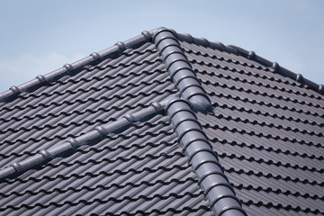 Canvas Print - roof tile on residential building