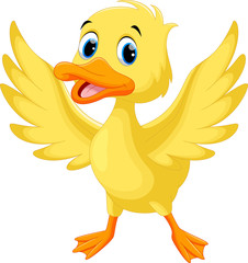 Wall Mural - Vector illustration of cute baby duck