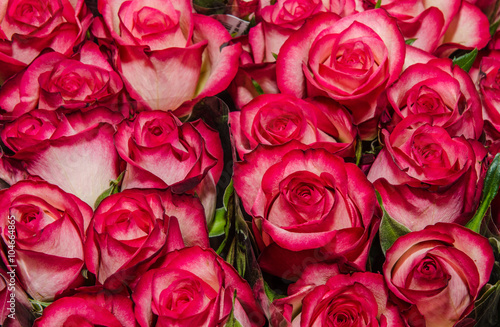 Naklejka na szybę Bouquet of red roses