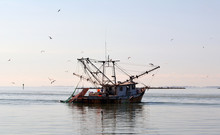 Commercial Fishing Boat/Commercial Fishing Boat Enters The Harbor At Sunset.