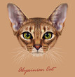 Vector Illustrative Portrait of Abyssinian Cat