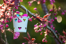 Chocolate Mini Eggs In A Toy Bucket Hanging From A Branch.