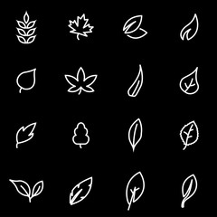 Wall Mural - vector line leaf icon set. leaf icon object, leaf icon picture, leaf icon image - stock vector