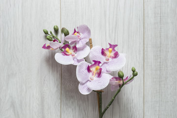 Sticker - Pink orchid flower