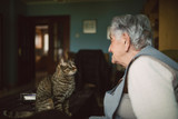 Fototapeta Koty - Tabby cat and elderly woman looking at each other