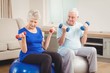 © WavebreakMediaMicro - Senior couple sitting on fitness balls with dumbbells