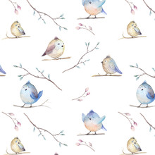 Watercolor  Spring  Rustic Pattern With Nest, Birds, Branch,tree