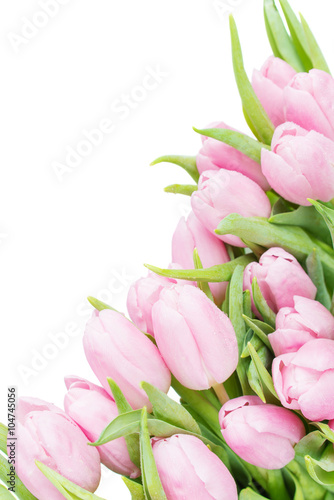 Naklejka na szybę Pink tulips flowers