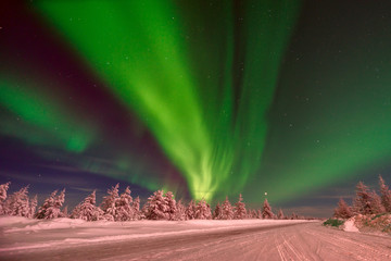 winter night landscape with forest, road, snow and northern light over the scene