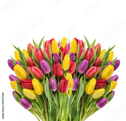 Fototapeta na szkło Bouquet of fresh spring tulips. Colorful flowers water drops