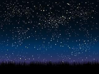 Wall Mural - vector. silhouette grass. starry sky. eps 10.