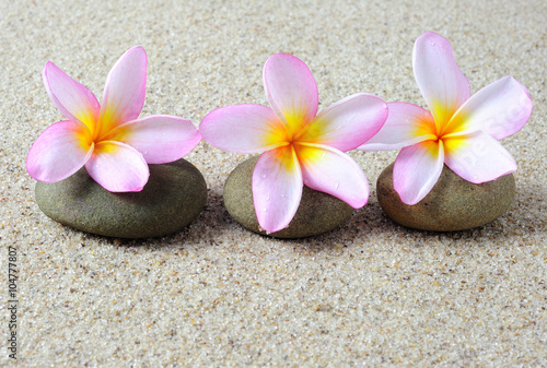 Naklejka na kafelki Selective focus of three frangipani flower on a zen stones with sand background