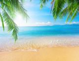 Fototapeta Morze - Palm and tropical beach