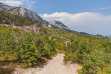 Fototapeta Na ścianę - Crimea summer landscape with a mountain dirt road on the slopes of the foothills of the mountain range Ai-Petri