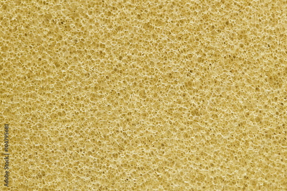 Sponge texture for pattern and background Stock Photo | Adobe Stock