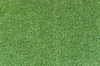 Green artificial Astroturf for pattern and background.